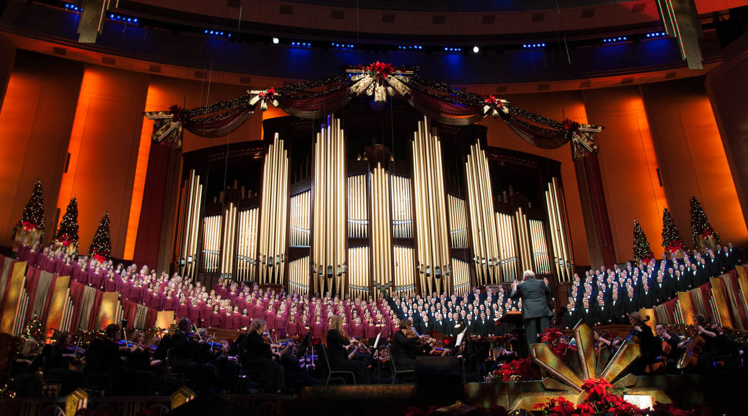 motab_DSC2731