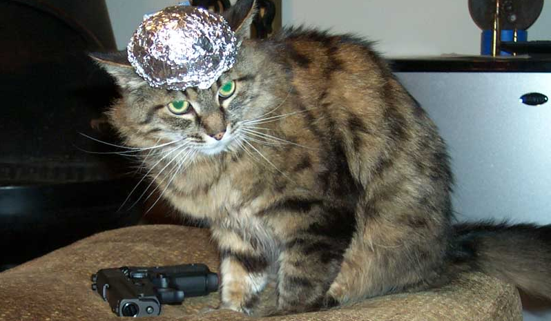 19818_large_Tinfoil_Cat_w_Gun_Wide.png