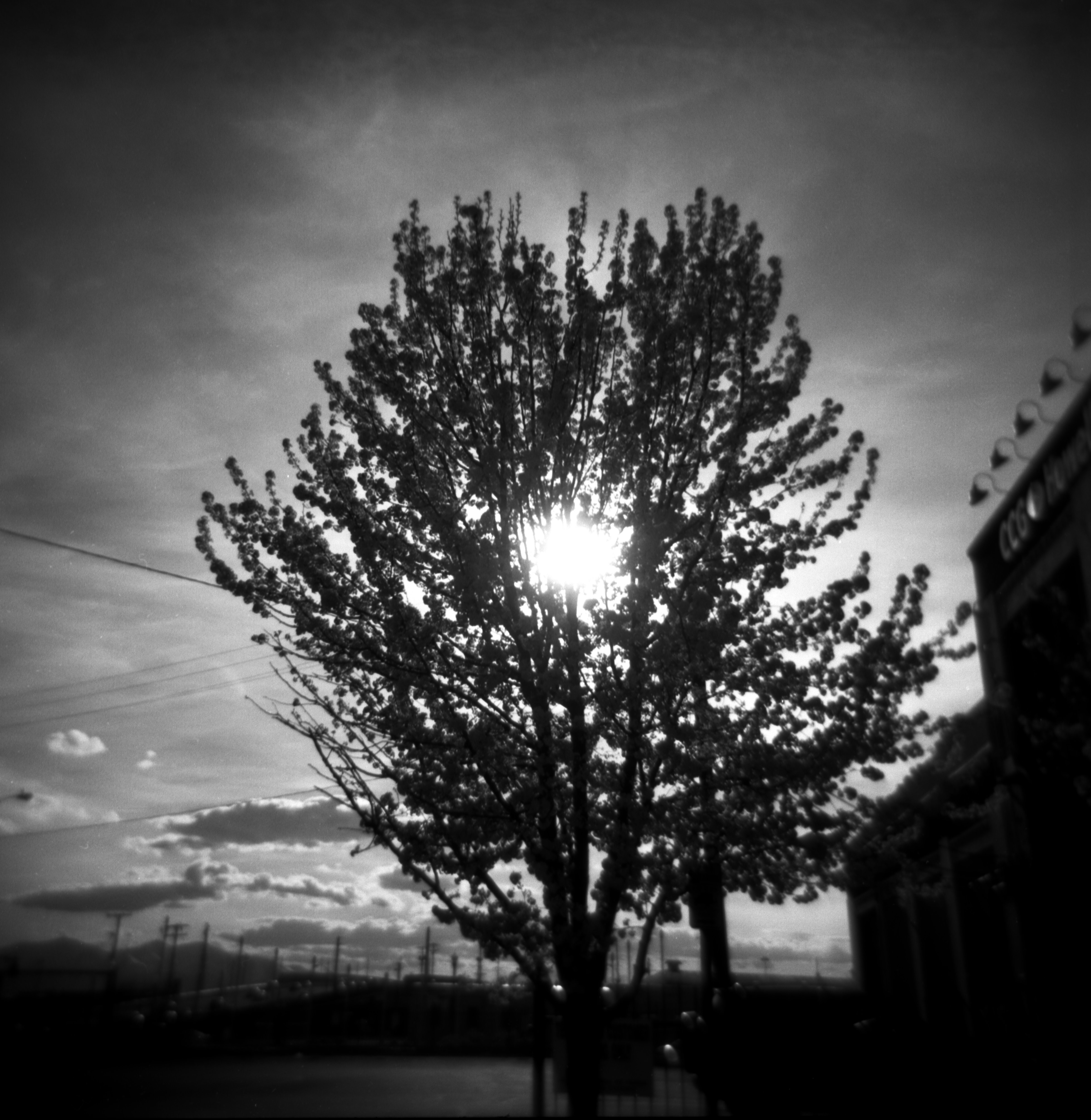holga black and white film street photography